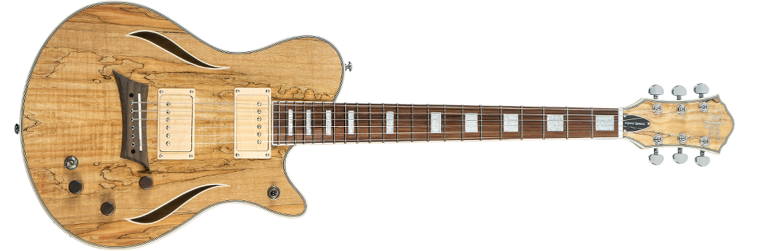 Avis d'utilisateurs : Michael Kelly Guitars Hybrid Special - Audiofanzine