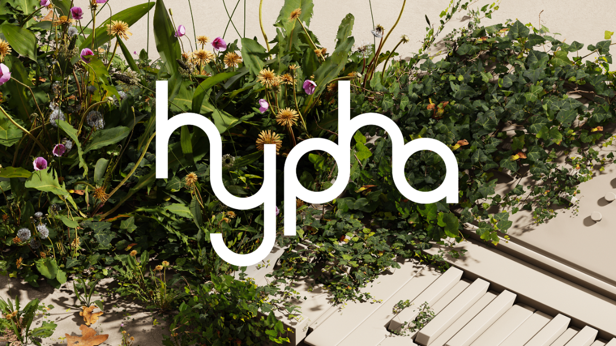 Hypha Native Instruments Hypha Audiofanzine