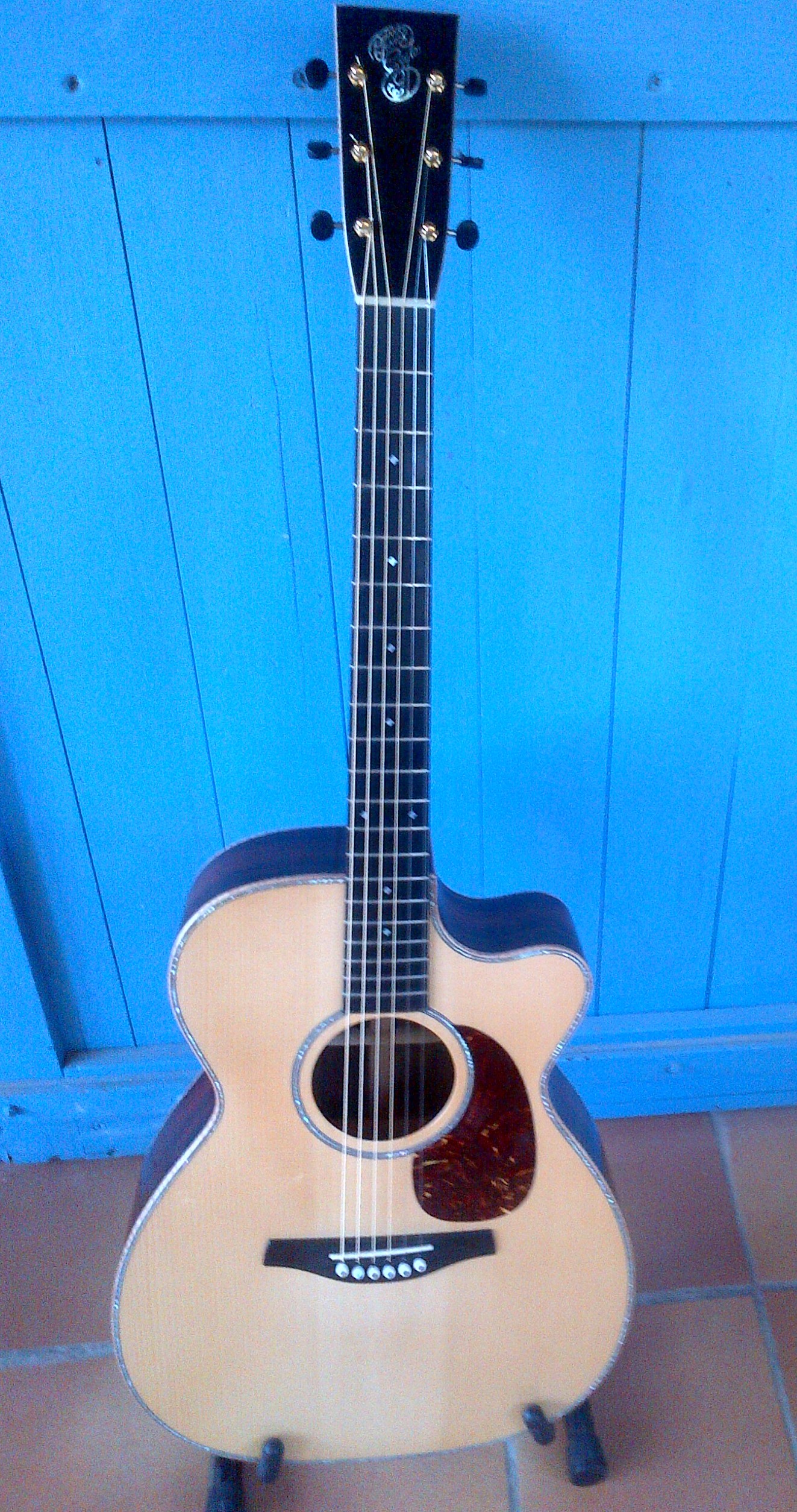 Patrick Eggle Guitars Linville image (422019) Audiofanzine