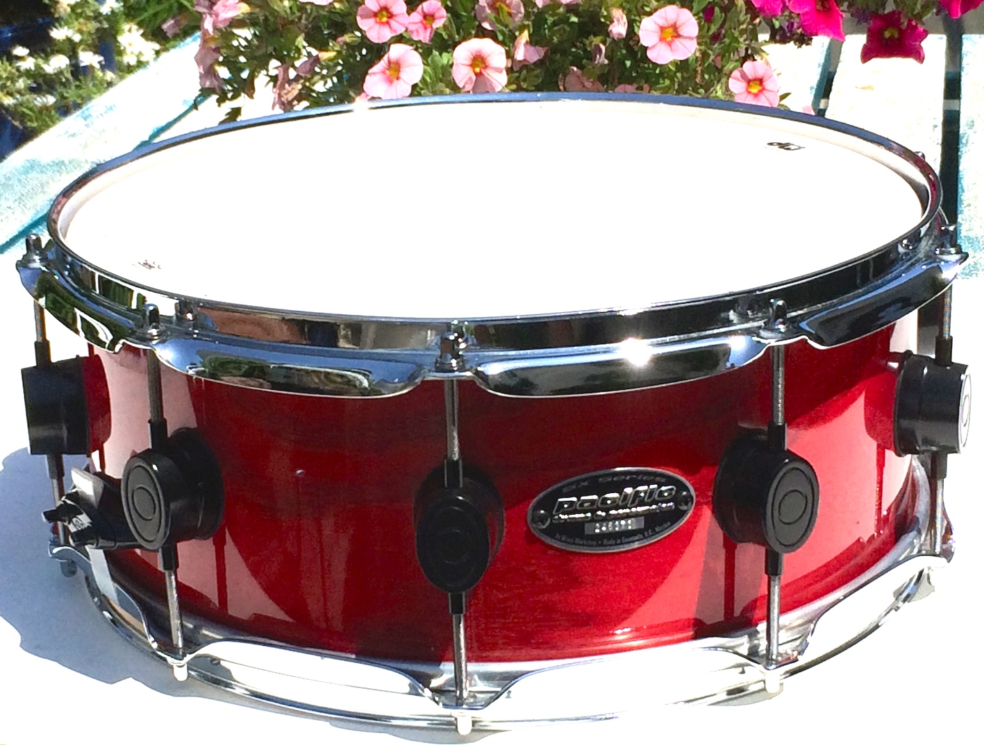 Photos et images PDP Pacific Drums and Percussion 5,5x14" SX Series