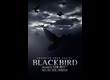 8dio Blackbird