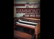 8dio Studio Vintage Organ
