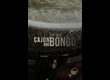 8dio-the-new-cajon-and-bongo-298514.jpg
