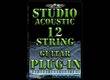 Audiowarrior Studio Acoustic 12-String Guitar