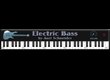 Axel Schneider Electric Bass