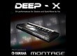 Barb and Co Deep-X Yamaha Montage