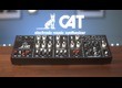 Une version sans clavier de l’Octave CAT chez Behringer