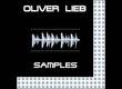 Best Service Oliver Leeb "Samples"