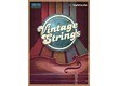 Big Fish Audio Vintage Strings