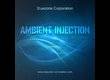 Bluezone Ambient Injection: Evolving Space
