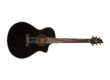 Breedlove Discovery Concert Satin CE Limited Edition