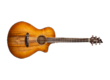 Breedlove Exotic Concert Prairie Burst CE