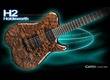 Carvin Holdsworth H2