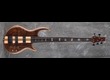 Carvin icon5