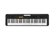 Casio Casiotone CT-S100