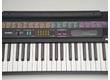 Casio CTK-520L