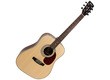 Guitares acoustiques Dreadnoughts