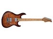 Cort G290 FAT II