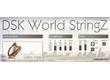 DSK Music World StringZ [Freeware]
