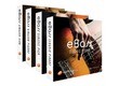 e-instruments eBass - Complete Bundle