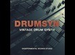 Ekssperimental Sounds Studio DRUMSYN Drum Synthesizer