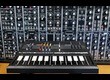 Electro-Harmonix EH-0400 Mini-Synthesizer