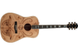 Fender Melanie Steinway "Tribal Moth" Dreadnought