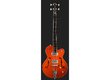 Gretsch G5123B Hollowbody Electroacoustic Bass