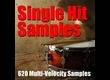 Hobby Horse Productions Single Hit Samples