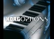 Korg EXBP-Dual MP3 - Dual MP3 Expansion Board