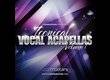 Loopmasters ICONICAL VOCAL ACAPELLAS