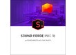 Magix Sound Forge Pro 18