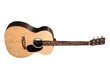 Martin & Co 000-X2E (2024)