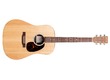Martin & Co D-X2E (2024)