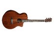 Martin & Co Road SC-10E Sapele