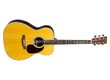 Martin & Co Standard M-36 (2018-2024)