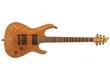 Mayones Setius GTM 6 Lizard