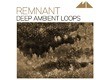 ModeAudio Remnant Deep Ambient Loops
