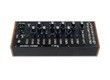 Moog Music Spectravox