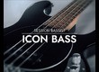 Native Instruments Session Bassist Icon Bass