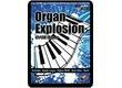 Nine Volt Audio Organ Explosion: 9V-B3 Edition