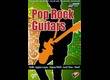 Nine Volt Audio Pop Rock Guitars