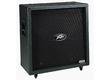 Peavey 6505 412 Straight