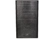 Peavey Versarray 218