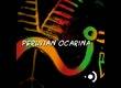 Precision Sound Peruvian Ocarina