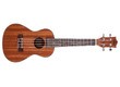 Prodipe Guitars BC2