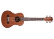Prodipe Guitars BT3