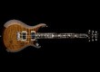 PRS S2 Custom 24 (2024)