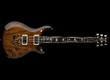 PRS S2 McCarty 594 (2024)