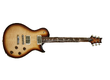 PRS SC 245 (2013-2016)